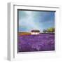 Field of Lavender-Philip Bloom-Framed Art Print