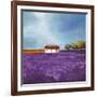 Field of Lavender-Philip Bloom-Framed Art Print