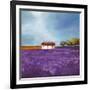 Field of Lavender-Philip Bloom-Framed Art Print