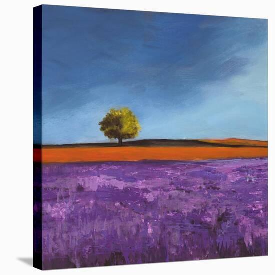 Field of Lavender-Philip Bloom-Stretched Canvas