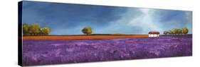 Field of lavender-Philip Bloom-Stretched Canvas