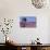 Field of Lavender-David Nunuk-Premium Photographic Print displayed on a wall