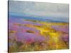 Field of Lavenders 2-Vahe Yeremyan-Stretched Canvas