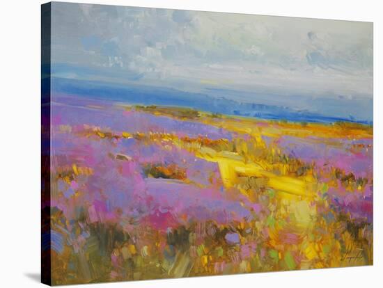 Field of Lavenders 2-Vahe Yeremyan-Stretched Canvas