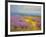 Field of Lavenders 2-Vahe Yeremyan-Framed Art Print