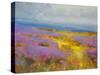 Field of Lavenders 2-Vahe Yeremyan-Stretched Canvas