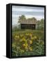 Field Of Memories-David Knowlton-Framed Stretched Canvas