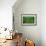 Field of Moss-Howard Ruby-Framed Photographic Print displayed on a wall