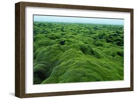 Field of Moss-Howard Ruby-Framed Photographic Print