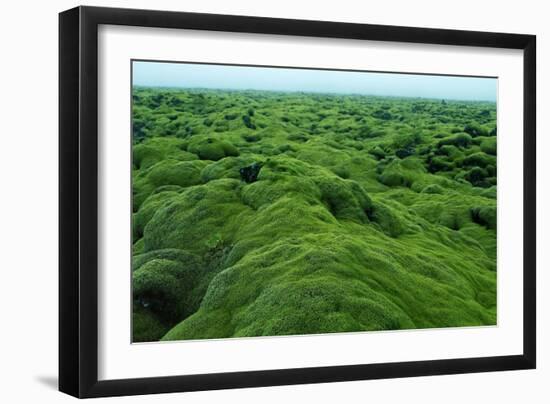 Field of Moss-Howard Ruby-Framed Photographic Print