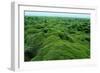 Field of Moss-Howard Ruby-Framed Photographic Print