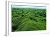 Field of Moss-Howard Ruby-Framed Photographic Print