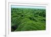 Field of Moss-Howard Ruby-Framed Photographic Print