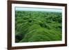 Field of Moss-Howard Ruby-Framed Photographic Print