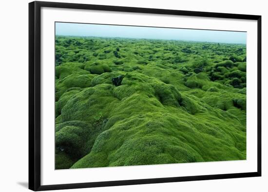 Field of Moss-Howard Ruby-Framed Photographic Print