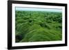 Field of Moss-Howard Ruby-Framed Photographic Print