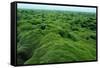 Field of Moss-Howard Ruby-Framed Stretched Canvas