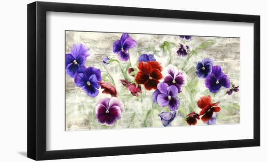 Field of Pansies-Jenny Thomlinson-Framed Art Print