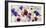 Field of Pansies-Jenny Thomlinson-Framed Art Print