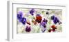 Field of Pansies-Jenny Thomlinson-Framed Art Print