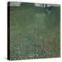 Field of Poppies, 1907-Gustav Klimt-Stretched Canvas