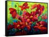 Field Of Poppies A-Marion Rose-Framed Stretched Canvas