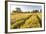 Field of Poppies and Old Abandoned Farmhouse, Tuscany, Italy-Peter Adams-Framed Photographic Print