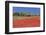 Field of Poppies and Olive Trees, Valle D'Itria, Bari District, Puglia, Italy, Europe-Markus Lange-Framed Photographic Print