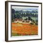 Field of Poppies at Giverny-Claude Monet-Framed Art Print
