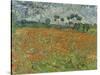 Field of Poppies, Auvers-Sur-Oise, 1890-Vincent van Gogh-Stretched Canvas