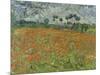 Field of Poppies, Auvers-Sur-Oise, 1890-Vincent van Gogh-Mounted Giclee Print