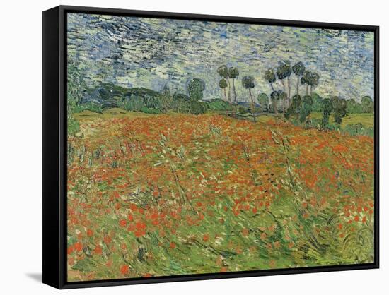 Field of Poppies, Auvers-Sur-Oise, 1890-Vincent van Gogh-Framed Stretched Canvas