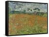 Field of Poppies, Auvers-Sur-Oise, 1890-Vincent van Gogh-Framed Stretched Canvas