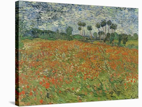 Field of Poppies, Auvers-Sur-Oise, 1890-Vincent van Gogh-Stretched Canvas