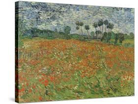 Field of Poppies, Auvers-Sur-Oise, 1890-Vincent van Gogh-Stretched Canvas