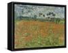 Field of Poppies, Auvers-Sur-Oise, 1890-Vincent van Gogh-Framed Stretched Canvas