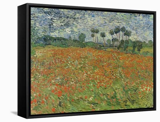 Field of Poppies, Auvers-Sur-Oise, 1890-Vincent van Gogh-Framed Stretched Canvas