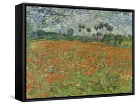 Field of Poppies, Auvers-Sur-Oise, 1890-Vincent van Gogh-Framed Stretched Canvas