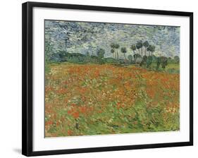 Field of Poppies, Auvers-Sur-Oise, 1890-Vincent van Gogh-Framed Giclee Print