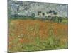 Field of Poppies, Auvers-Sur-Oise, 1890-Vincent van Gogh-Mounted Giclee Print