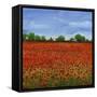Field of Poppies I-Tim OToole-Framed Stretched Canvas