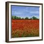 Field of Poppies I-Tim OToole-Framed Art Print