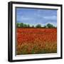Field of Poppies I-Tim OToole-Framed Art Print