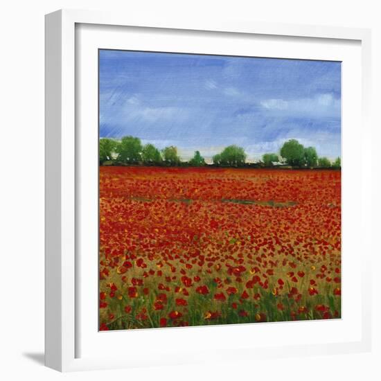 Field of Poppies I-Tim OToole-Framed Art Print