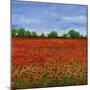 Field of Poppies I-Tim OToole-Mounted Art Print