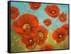 Field of Poppies I-Vivien Rhyan-Framed Stretched Canvas