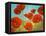 Field of Poppies II-Vivien Rhyan-Framed Stretched Canvas