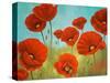 Field of Poppies II-Vivien Rhyan-Stretched Canvas