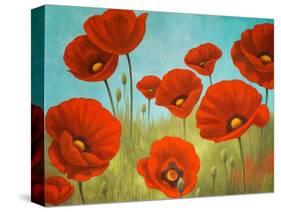 Field of Poppies II-Vivien Rhyan-Stretched Canvas