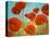 Field of Poppies II-Vivien Rhyan-Stretched Canvas